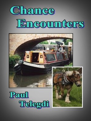 cover image of Chance Encounters